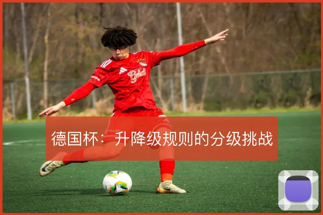 德国杯：升降级规则的分级挑战
